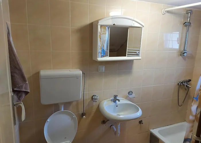 公寓 Todor Divčibare